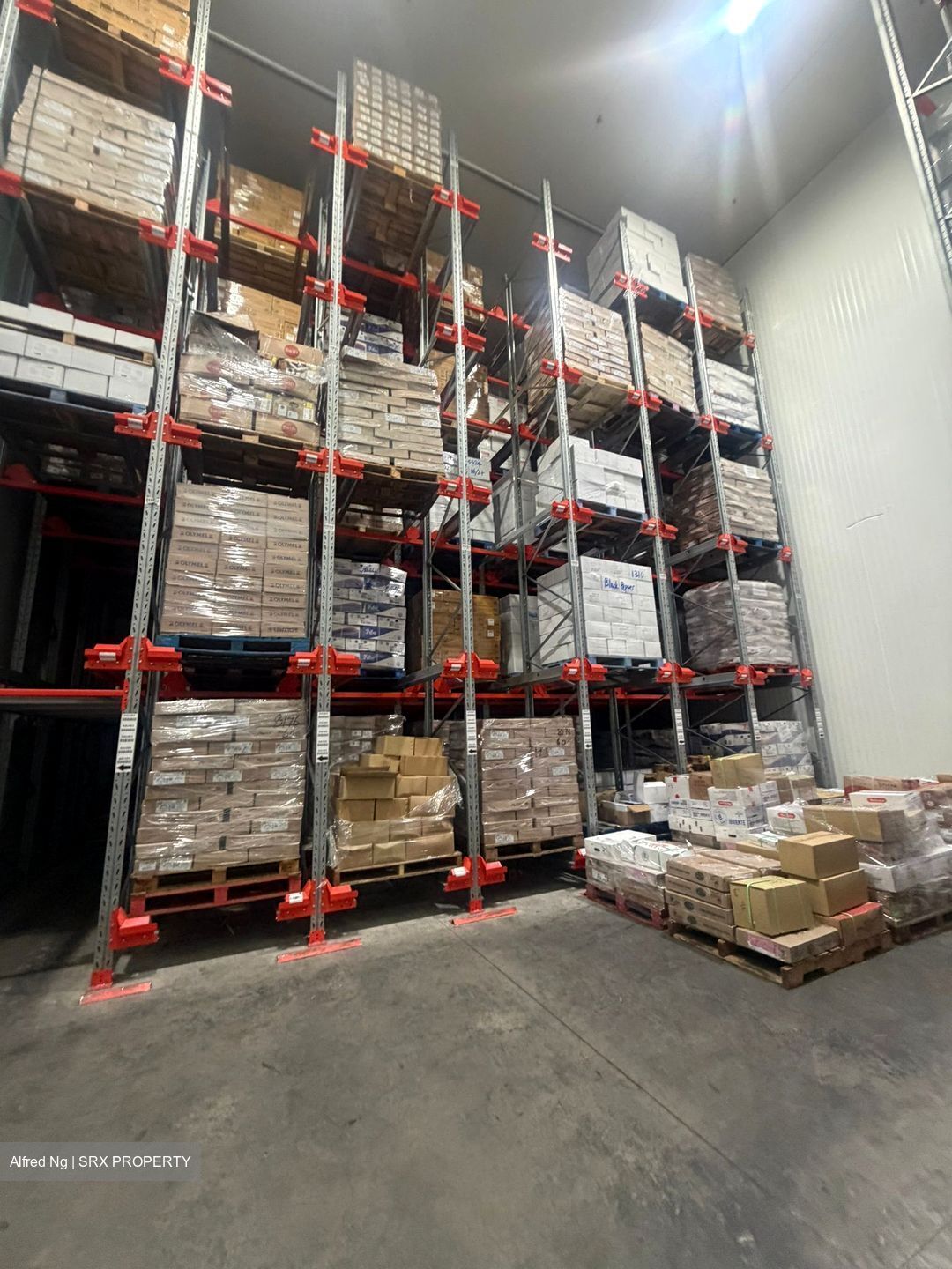 LINER (D22), Factory #585022661